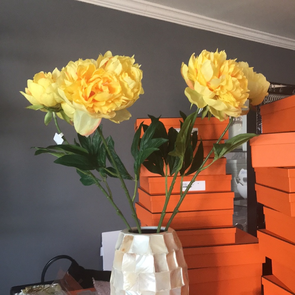 NWT Set of 4 Pier 1 yellow Peonies. No offers